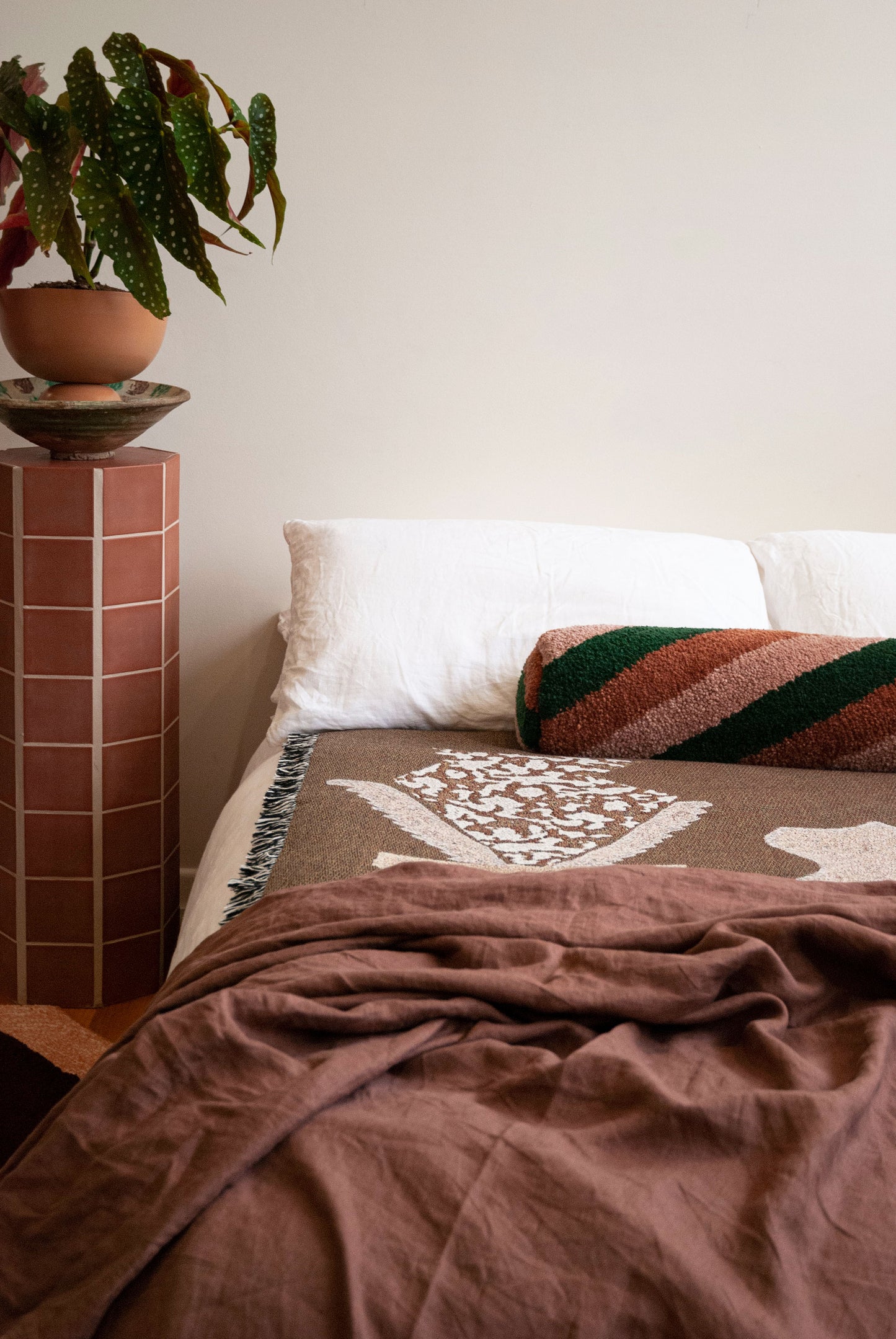 Nova Bolster - Licorice